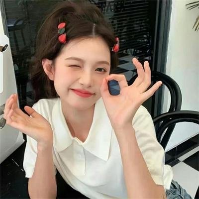 极岛森林第二季